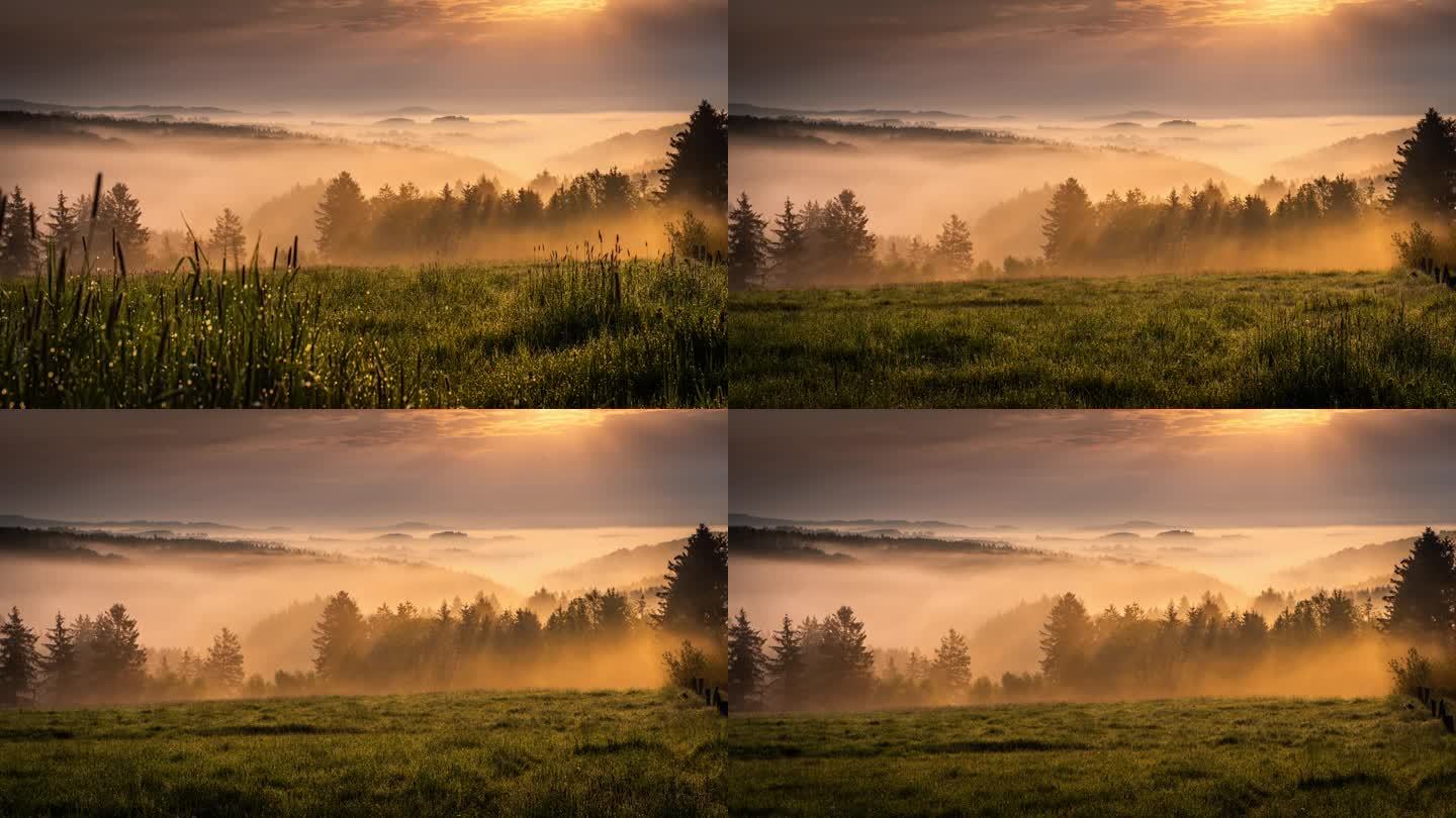 云雾缭绕的山峦和森林上壮丽的日出