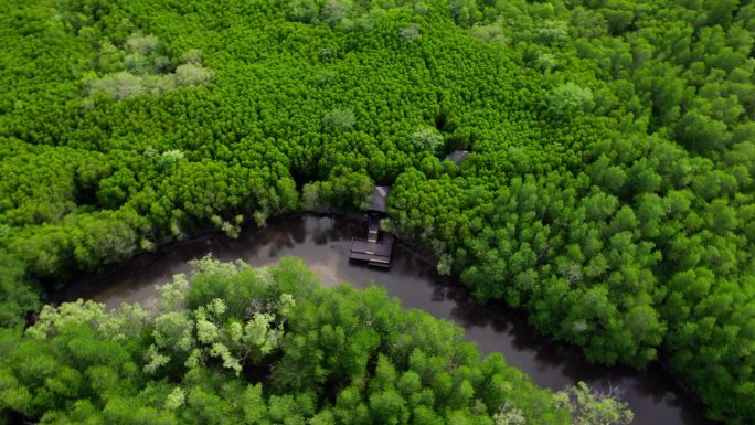 踏上一段迷人的无人机之旅，围绕着一个坐落在迷人的泰国森林中的木制海湾。