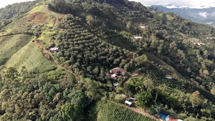 哥伦比亚咖啡文化景观航拍图
