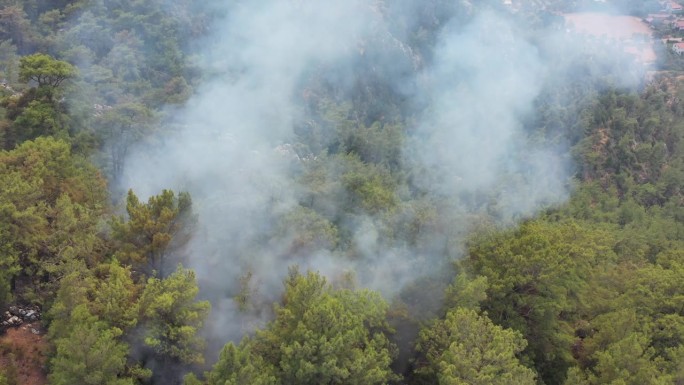 直升机在森林火灾中泼水，直升机在森林火灾中灭火