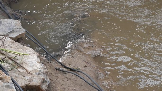 洪水猛兽  洪水泛滥自然灾害 汛情 降水