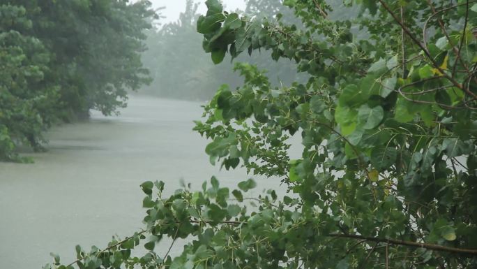 风雨