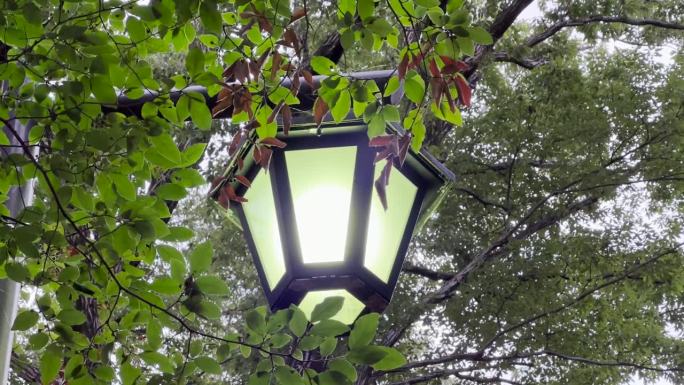 一盏惬意的夜灯在森林里燃烧，一幅温馨的景象