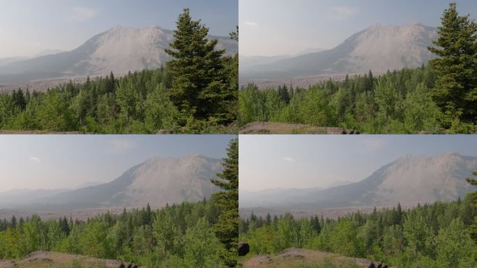 风景秀丽的弗兰克山和森林