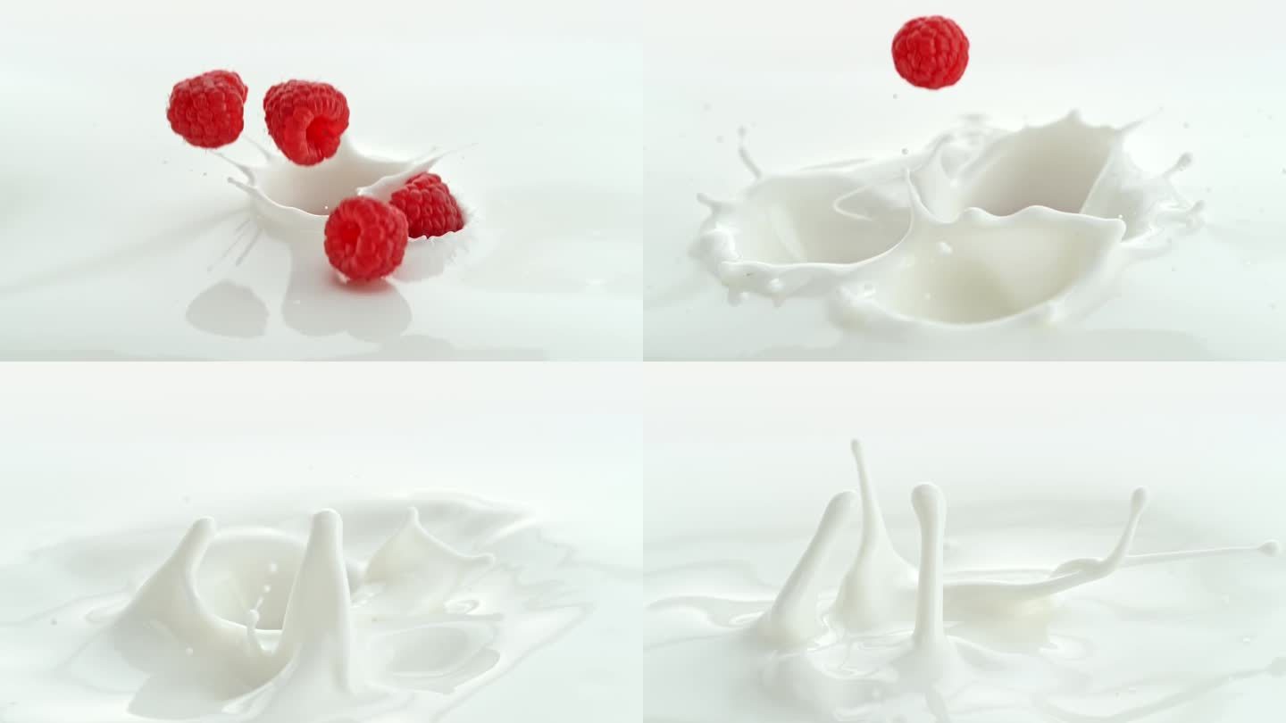 覆盆子落入奶油牛奶中，在微距和慢动作中产生漩涡飞溅