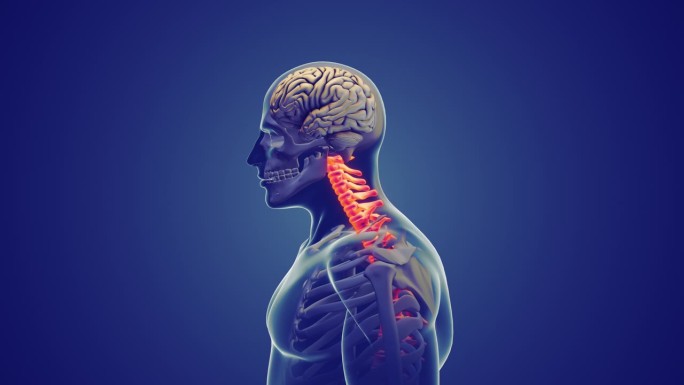 颈部疼痛或颈椎姿势综合症