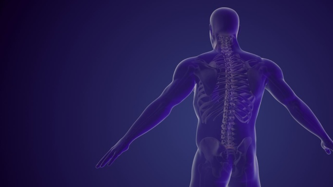 脊柱疼痛或背部疼痛