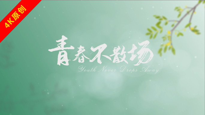 清新AE片头