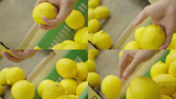 黄色安岳柠檬