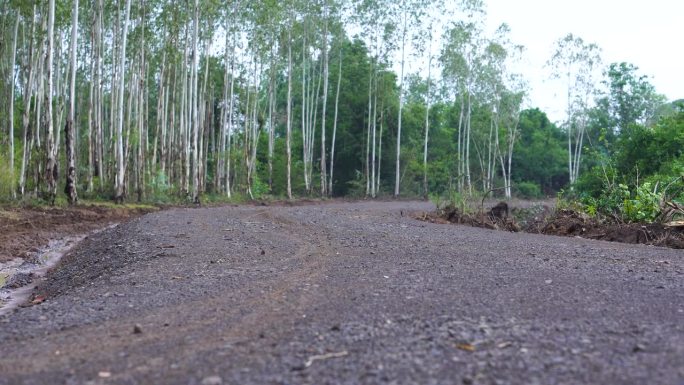 乡村公路，通往农场和花园的乡村公路