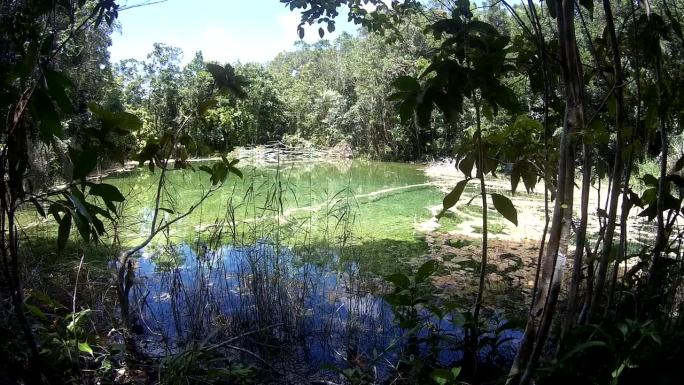 泰国森林中的翡翠池
