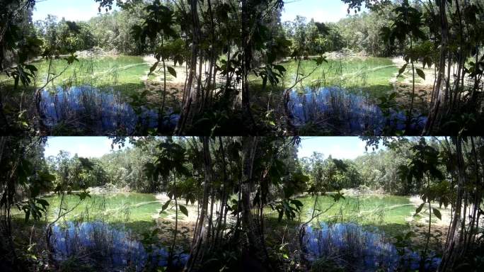 泰国森林中的翡翠池