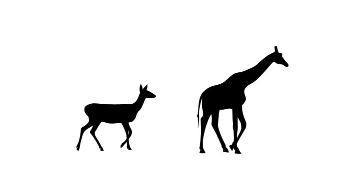 长颈鹿和狍的动画高颈草地可爱园林野生奇遇