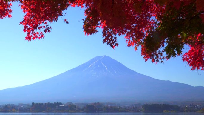 川口湖畔的深红枫叶和富士山