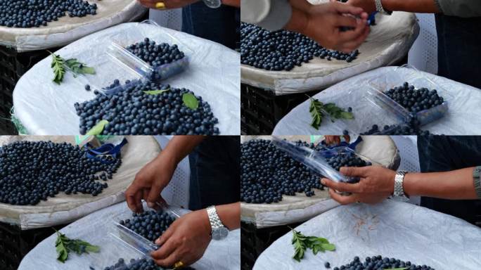 云南当地农贸菜市场蓝莓出售