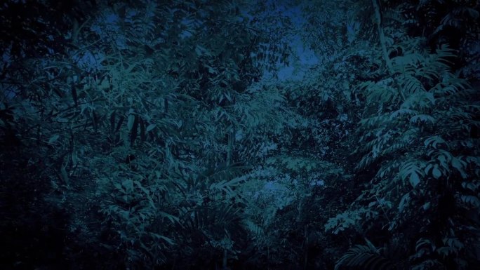 黑暗中在茂密的丛林树冠下移动