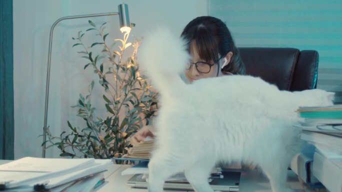 亚洲年轻女子在家里抚摸桌子上的猫，小闺蜜。