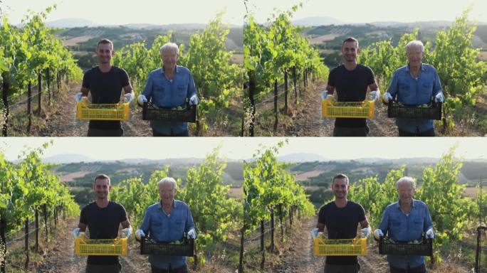 几代同堂的男人在镜头前微笑，手里拿着用于生产有机葡萄酒的葡萄箱——农民的生活方式和小企业的概念
