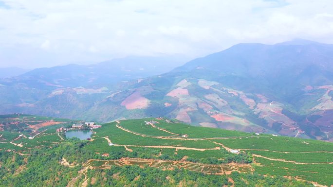 哀牢山冰糖橙种植基地航拍延时