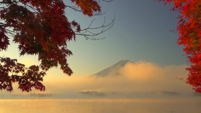 晨雾中的川口湖，晨曦中的富士山和秋叶