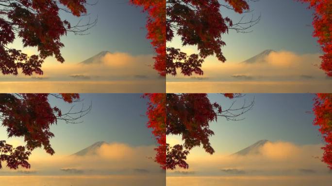 晨雾中的川口湖，晨曦中的富士山和秋叶