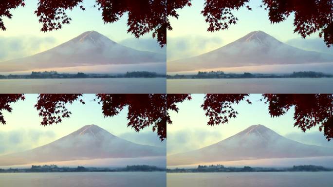 川口湖在清晨的薄雾中，富士山和树木带着秋叶