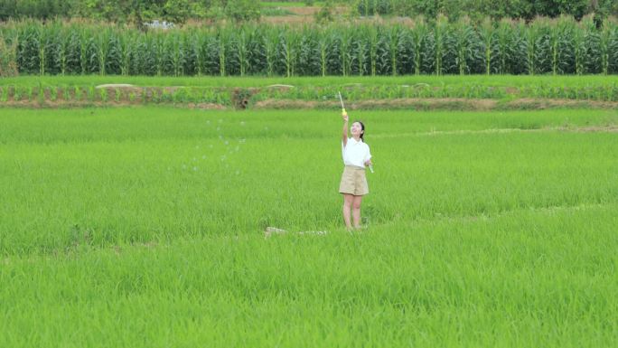 女孩在稻田间吹泡泡