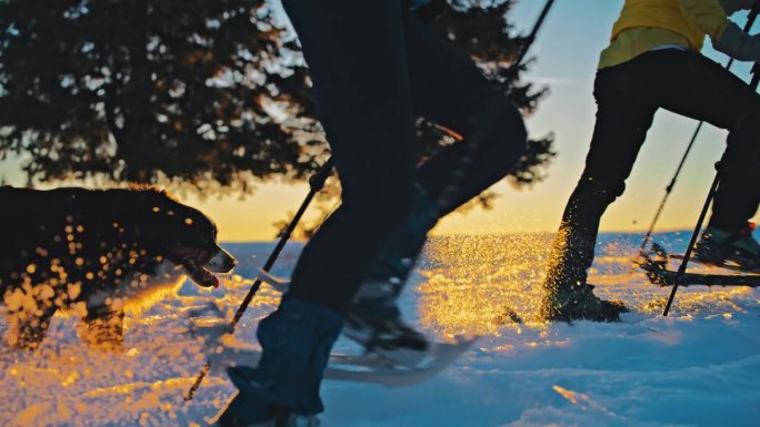 日落时分，两个女人带着一只狗在雪坡上走雪鞋