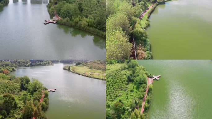 公园湖泊绿洲航拍竹林空镜湿地公园