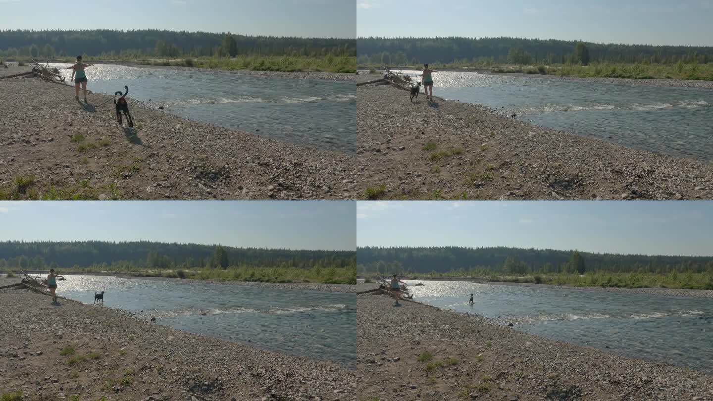 女人在河边和狗玩耍