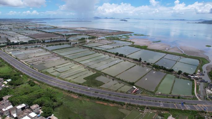 漳江湾特大桥漳江口入海口沿海大通道航拍