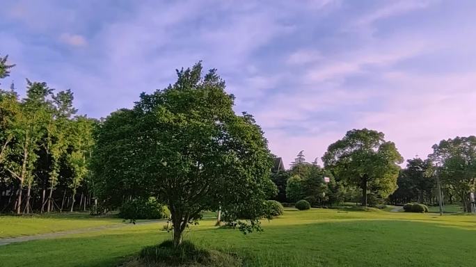 城市公园背景素材