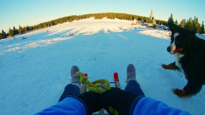 一对夫妇在阳光明媚的日子里从斜坡上滑下雪橇，玩得很开心