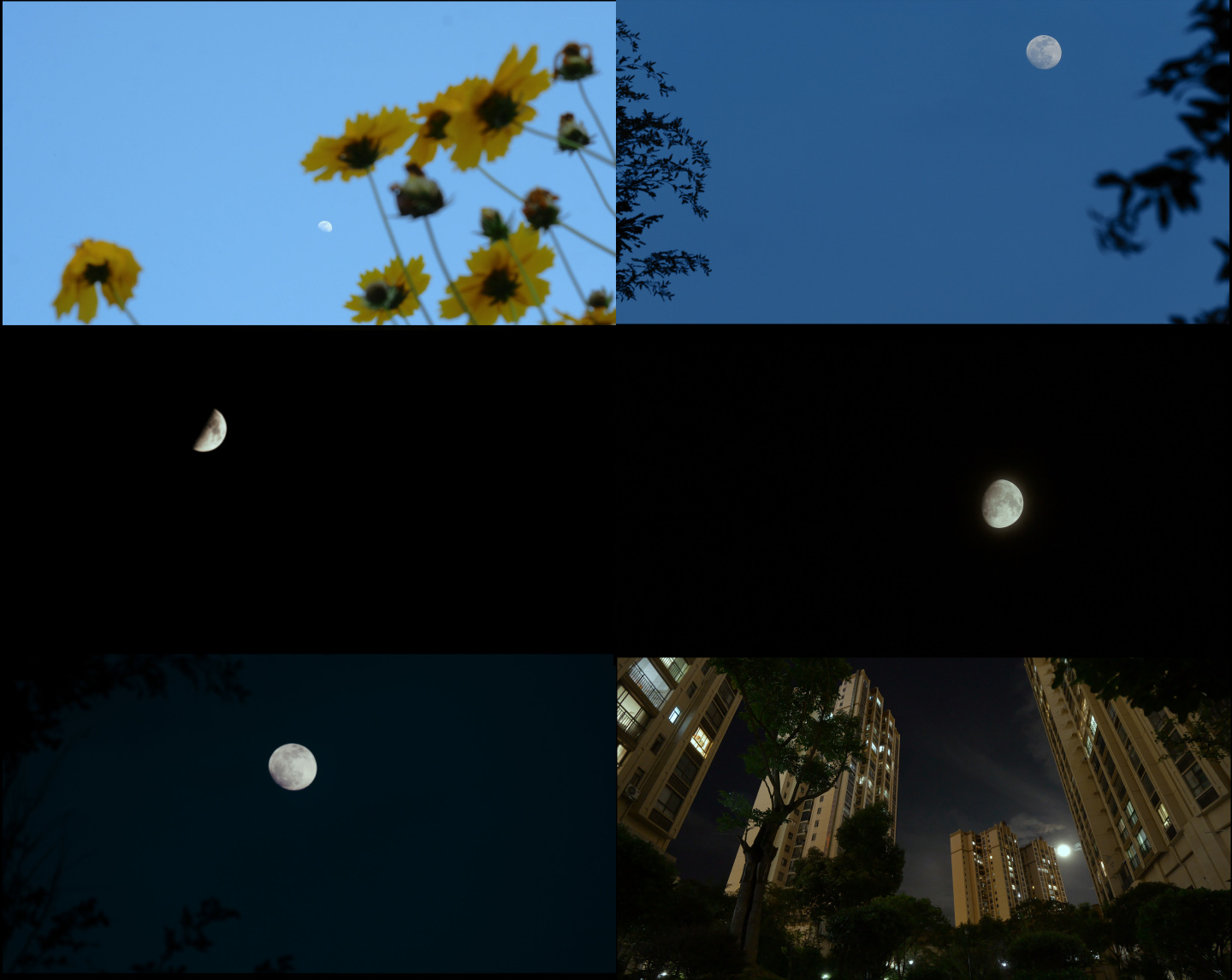 月亮夜晚各阶段多组延时拍摄4k素材