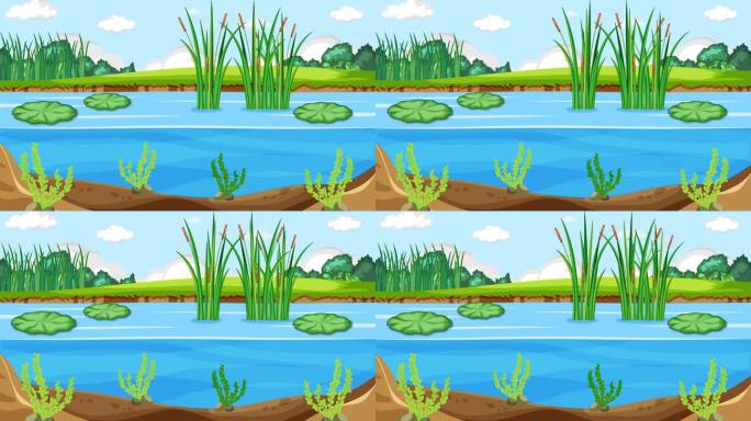 睡莲垫在池塘场景卡通运动图形循环