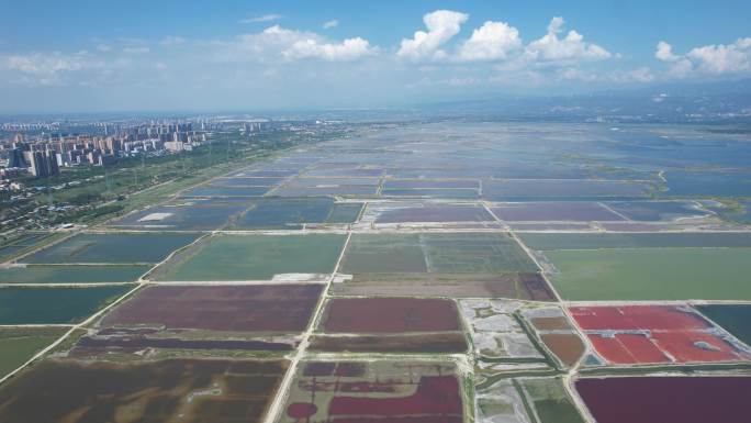 山西运城盐湖夏日风光