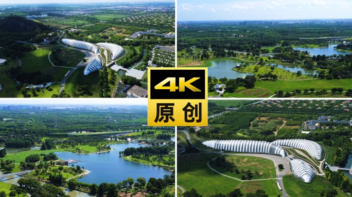 上海辰山植物园航拍