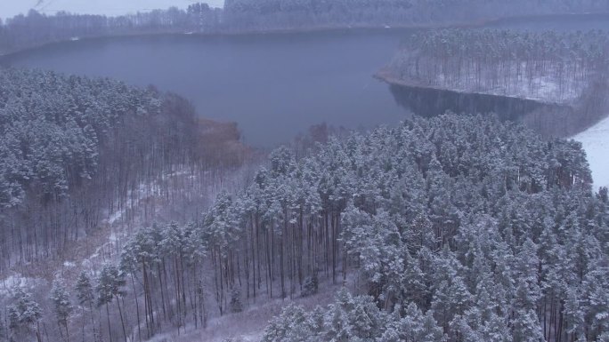 鸟瞰白雪覆盖的树梢，森林冬日平静的湖面。在美丽宁静的冬湖上，飞过令人惊叹的白松林。飞越冰雪覆盖的冬季