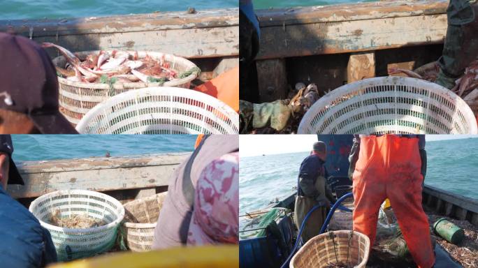 4K渔船出海捕捞收获红娘鱼
