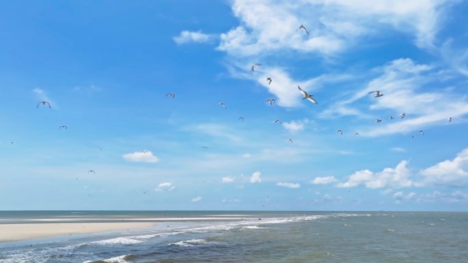 广西北海银滩美丽航拍风景海鸟成群飞翔蓝天