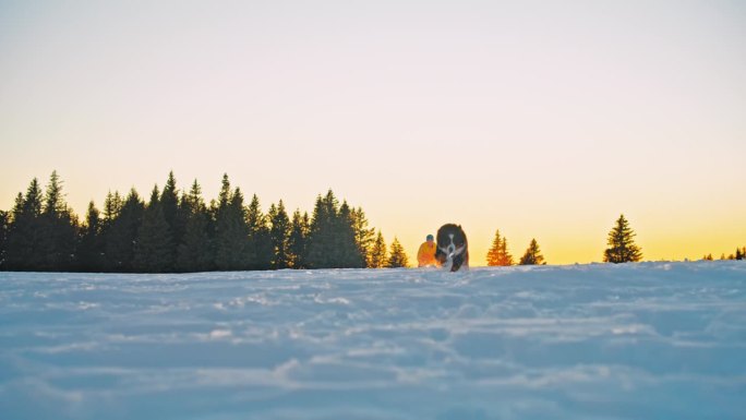 狗跑过斜坡上的深雪，朝着相机