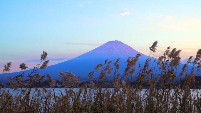 黄昏时，透过秋天的潘帕斯草原，可以看到川口湖和富士山
