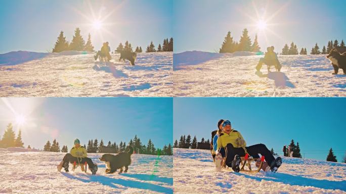 两个女人和一只狗在雪坡上滑下雪橇，玩得很开心