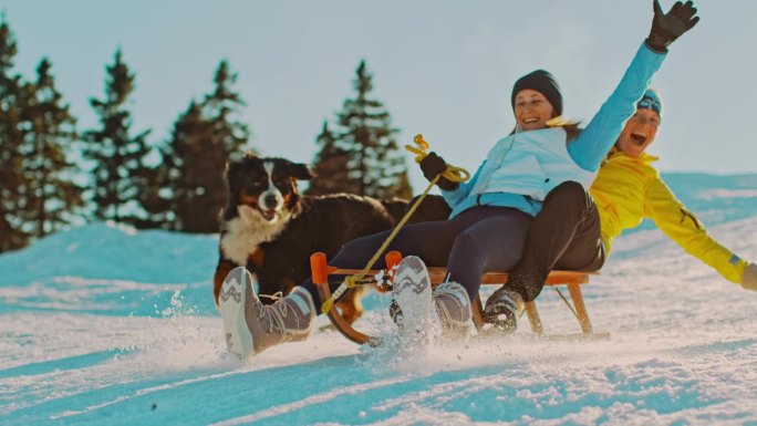 两个女人和她们的狗一起拉雪橇，她们很兴奋
