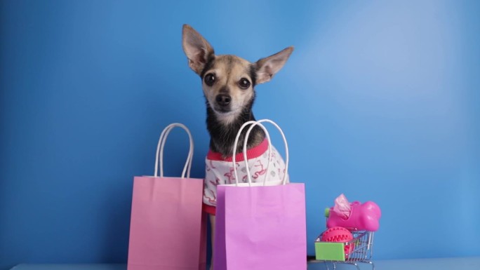 宠物超市背景，狗狗自带购物车和购物袋，狗狗店，宠物饰品