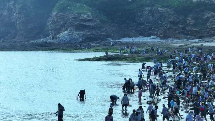 小石岛游客赶海的场景