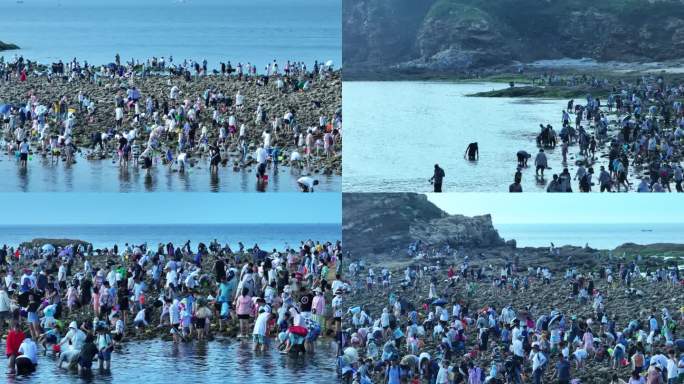 小石岛游客赶海的场景