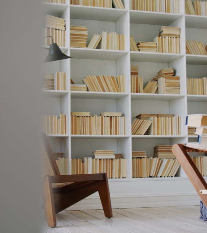 豪华现代家庭图书馆中的高书柜和木制躺椅