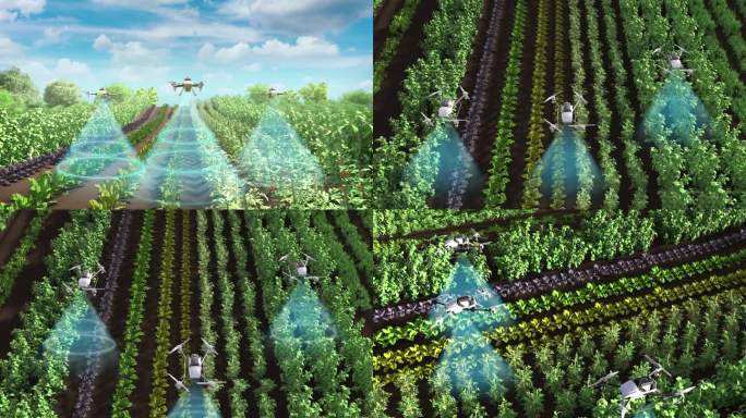 无人机农业养护农药喷洒农业植保动画探测