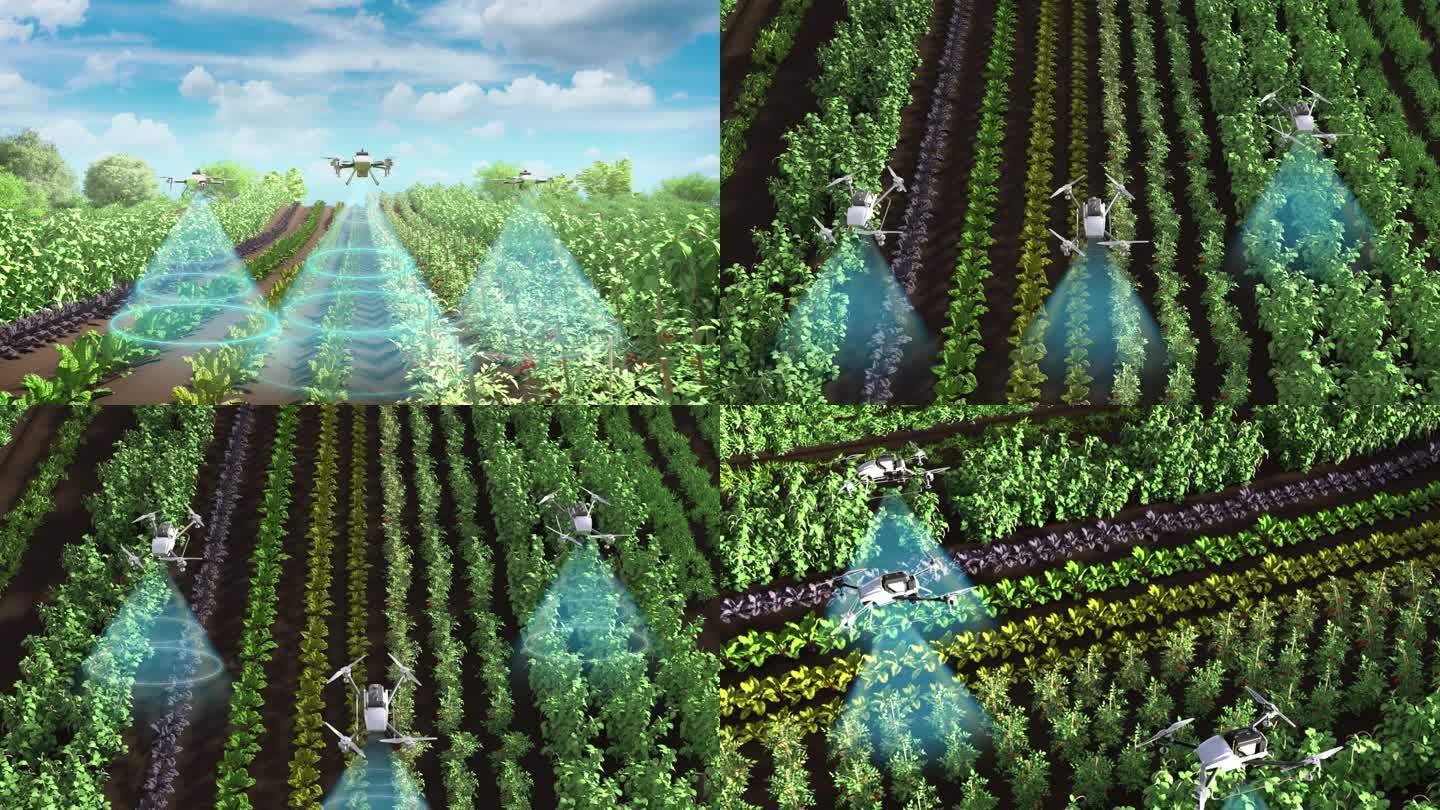 无人机农业养护农药喷洒农业植保动画探测